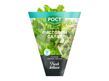 Салат латук Рост листовой 1 шт в Жлобине Санта