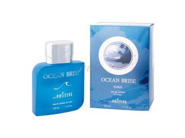 Вода туалетная OCEAN Brise для мужчин, 100 мл