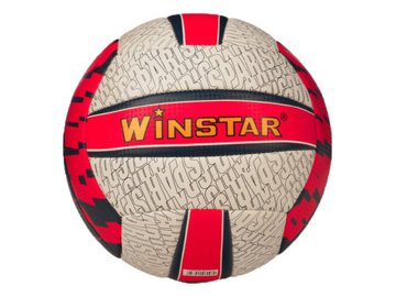 Волейбольный мяч Winstar WN11004