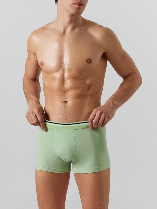 Трусы боксеры мужские салатовые, фото 2 из 21