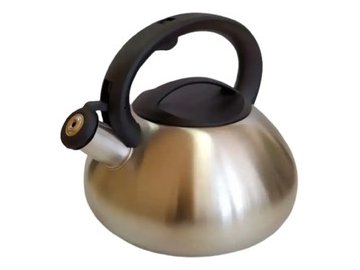 Чайник со свистком ASTIAT AST-1005