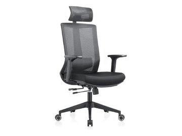 Кресло компьютерное EVOLUTION ERGO BLISS Black