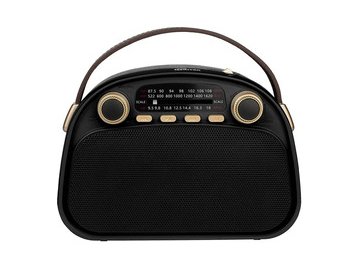 Радиоприёмник RITMIX RPR-040 (черный)