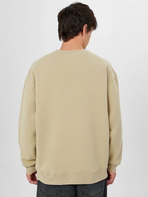 Свитшот мужской бежевый, фото 2 из 7