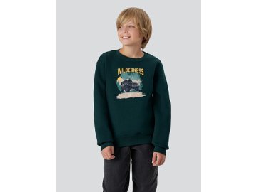 Свитшот для мальчиков зеленый с надписью "Wilderness"