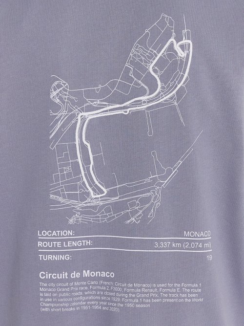 Толстовка мужская серая с надписью "Monaco Monte Carlo", фото 9 из 9
