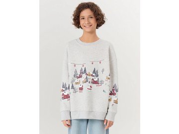 СВИТШОТ ДЛЯ МАЛЬЧИКОВ Марк Формель