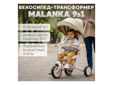 Детский велосипед Bubago Malanka BG 211-2 (коричневый)
