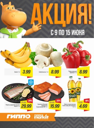 Акция в ГИППО: Акционные предложения, скидки на сегодня