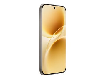 Смартфон vivo V70 V2538 8GB/256GB (серый)