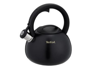 Чайник со свистком TEFAL N4180417