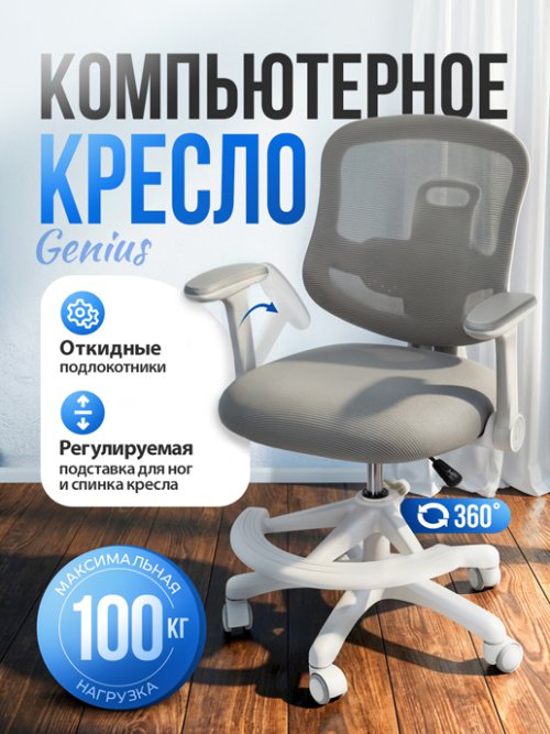 Кресло компьютерное Genius, фото 1 из 32