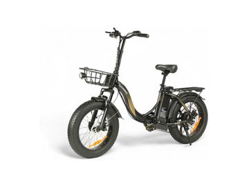 Электровелосипед SAMEBIKE City Master Fat (MY-E02 черный) 5 элемент