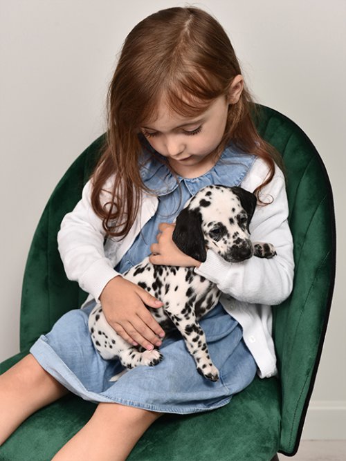 Кресло рабочее Хилтон, фото 94 из 752