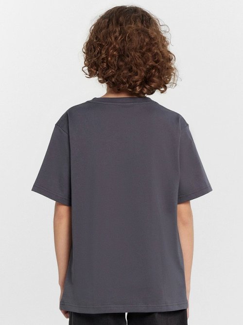 Футболка для мальчиков серая с принтом "Заповедный напев...", фото 4 из 5