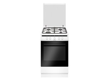 Кухонная плита Hansa FCGW580977