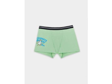 Трусы для мальчиков зеленые с принтом