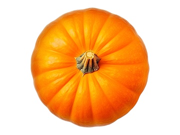 Шампиньоны Грибная Страна 400 г в Пинске Санта