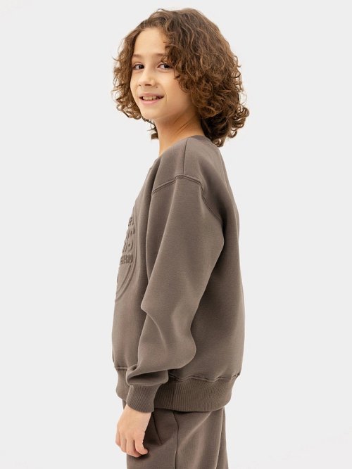 Джемпер для мальчиков коричневый с печатью, фото 4 из 8