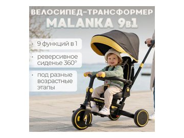 Детский велосипед Bubago Malanka BG 211-3 (черный)