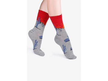 Носки женские Socks concept