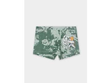 Трусы для мальчиков зеленые с принтом