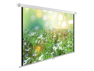 Экран Cactus CS-PSWE-200X200-WT
