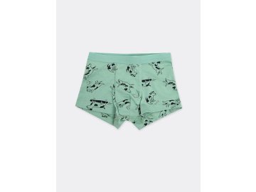 Трусы-боксеры для мальчиков в зеленом цвете с рисунком Марк Формель