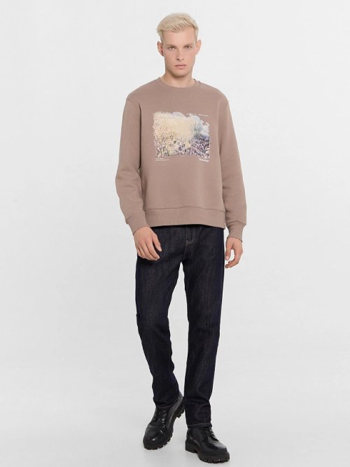 Джемпер мужской бежевый с печатью, фото 3 из 6