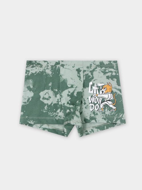 Трусы для мальчиков зеленые с принтом, фото 1 из 9