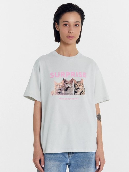 Футболка женская серая с принтом "Surprise what's going on here", фото 1 из 30