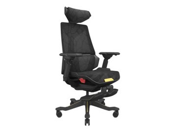 Игровое кресло ErgoSmart Bloodragon (черный/золотистый)