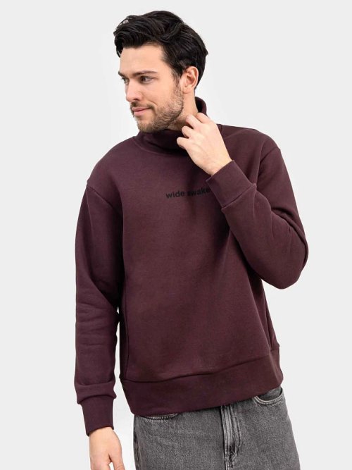 Стильный джемпер мужской с воротником-стойкой в цвете "бордо" с печатью, фото 2 из 4