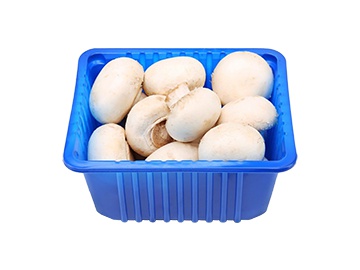 Набор Веселый огородник Витаминный (петрушка, укроп) 60 г в Пинске Санта