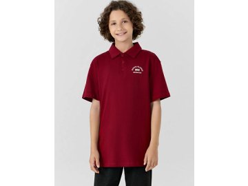 Поло для мальчиков бордовое Марк Формель