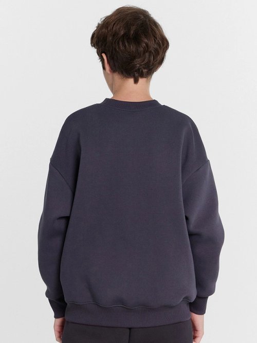 Свитшот для мальчиков графитовый с принтом, фото 4 из 5