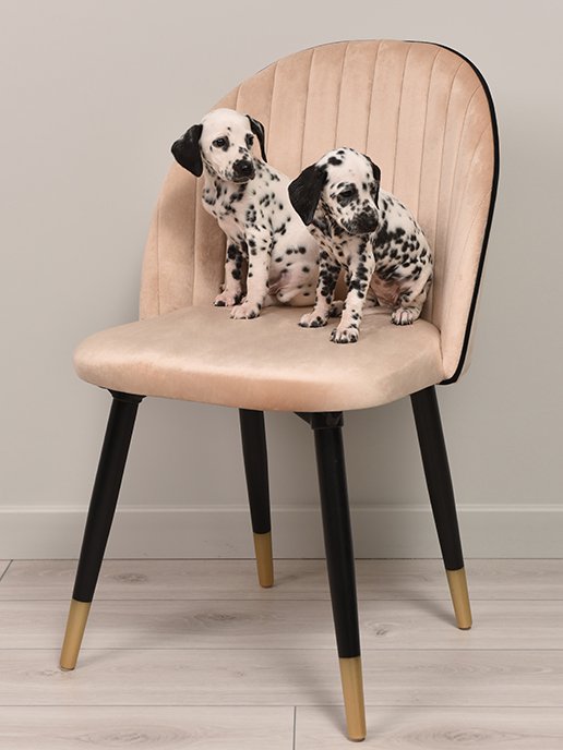 Кресло рабочее Хилтон, фото 33 из 752