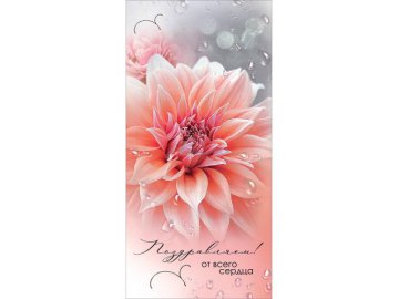 Конверт для денег &amp;quot;Поздравляем! От всего сердца&amp;quot;, арт. 10000818 Мила