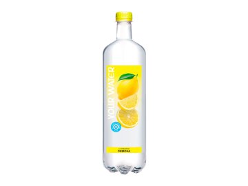 Вода питьевая Истоки негазированная 1,5 л