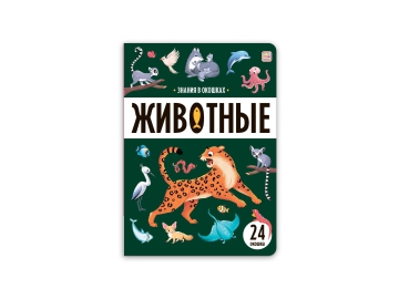 Знания в окошках. В ассортименте в Вилейке Три цены