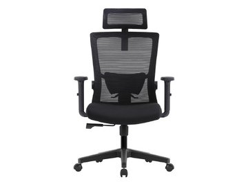 Кресло компьютерное EVOLUTION ErgoLine 1