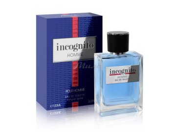 Вода туалетная INCOGNITO Homme мужская, 100 мл