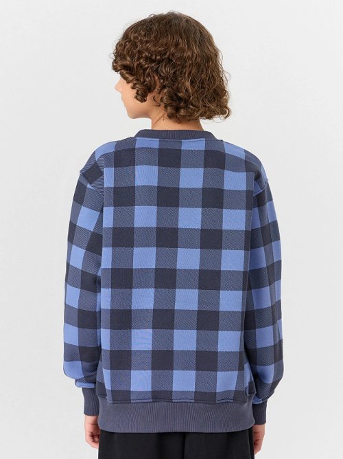 Свитшот для мальчиков синий в клетку, фото 2 из 6