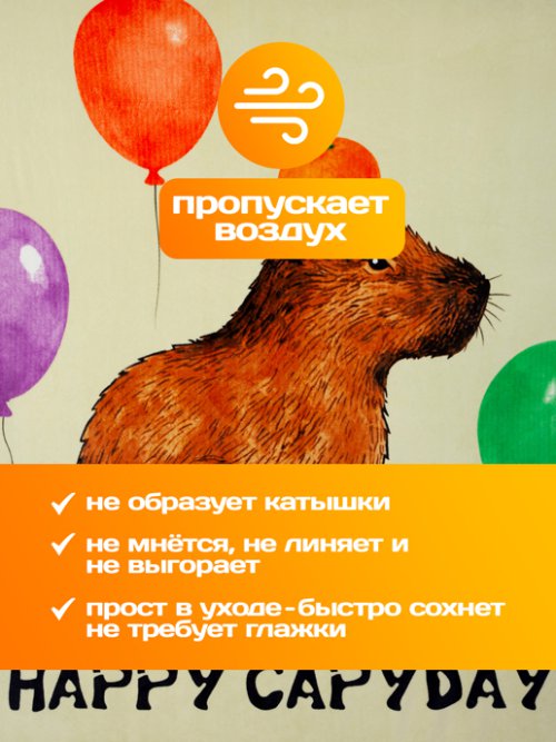 Плед Happy Capyday, фото 5 из 26