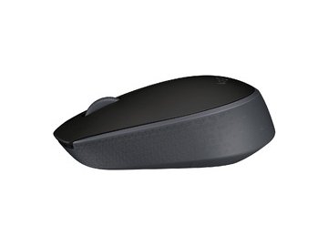 Мышь LOGITECH M171 Black (L910-004424)