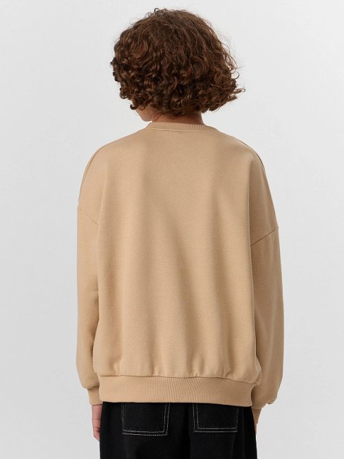 Свитшот для мальчиков бежевый с надписью Local Hero, фото 3 из 7