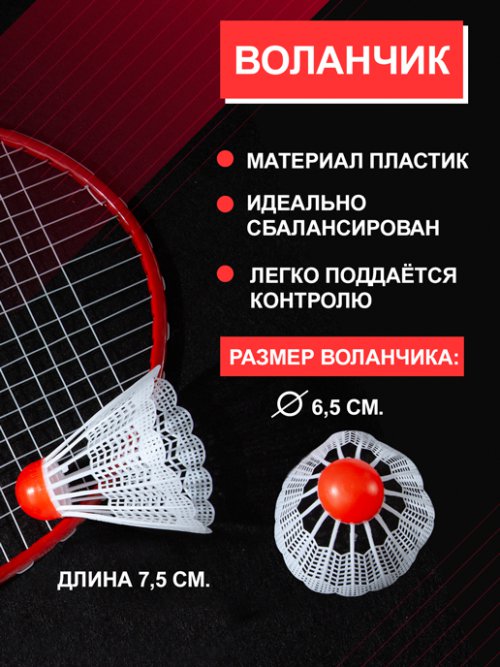 Набор для бадминтона Flight, фото 4 из 30