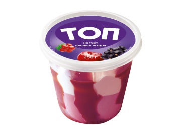 Мороженое Топ йогурт-лесные ягоды 250 г в Пинске Санта
