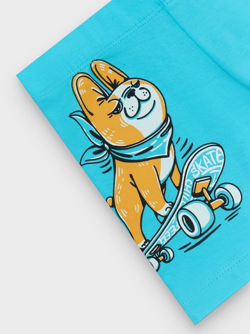 Трусы для мальчиков синие с принтом, фото 3 из 9