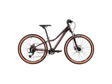 Велосипед Stinger Laguna JR 24 2025 24AHD.LAGUNA.JRVT5 (фиолетовый)